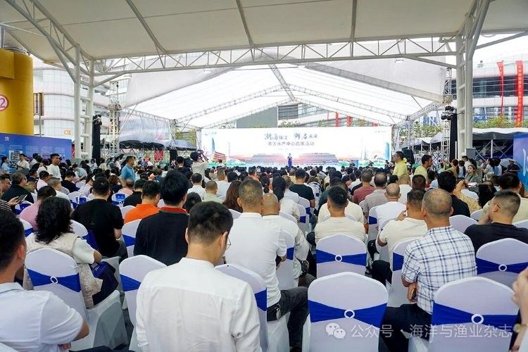 廣州龍魚批發(fā)市場哪個最大？（廣州最大水族批發(fā)市場在哪里荔灣區(qū)和番禺區(qū)和番禺區(qū)）