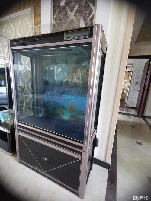 如何辨別金九龍魚缸的真偽 如何辨別金九龍魚缸的真偽 龍魚百科 第6張
