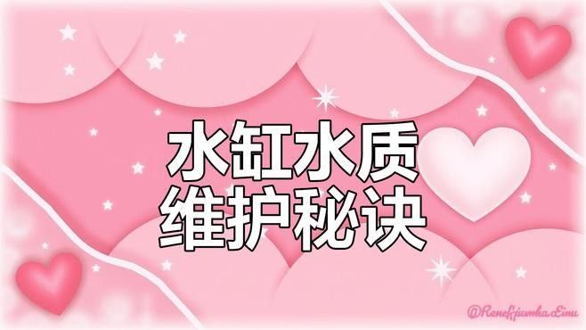 如何保持水質清潔（古法養魚如何保持水體清澈三大技巧教你輕松做到優設交互智庫）