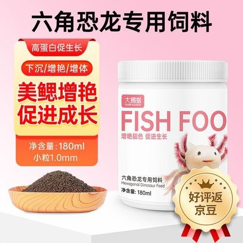 如何挑選高質量的恐龍魚飼料