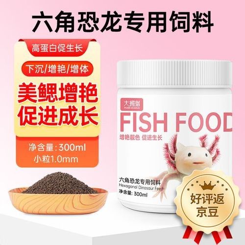 如何挑選高質量的恐龍魚飼料