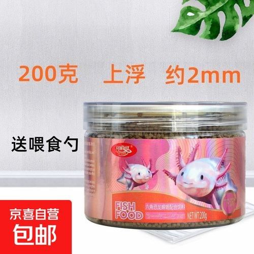 如何挑選高質量的恐龍魚飼料