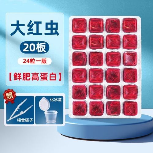 如何挑選高質量的恐龍魚飼料