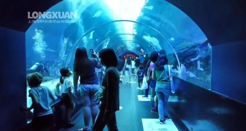火龍魚缸換水時如何保持水溫