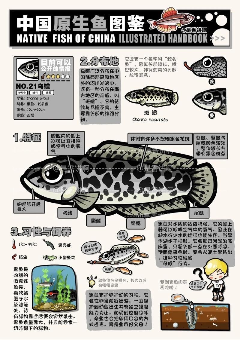 給我高清的雷龍魚分布圖