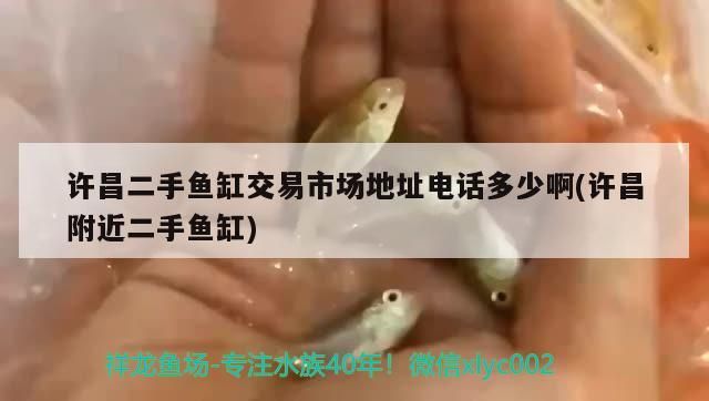 許昌二手魚缸交易市場(chǎng)地址電話多少啊(許昌附近二手魚缸)