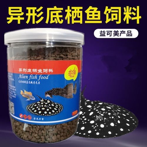 如何確保招財貓魚和龍魚有足夠的食物（招財貓魚吃什么食物最好）