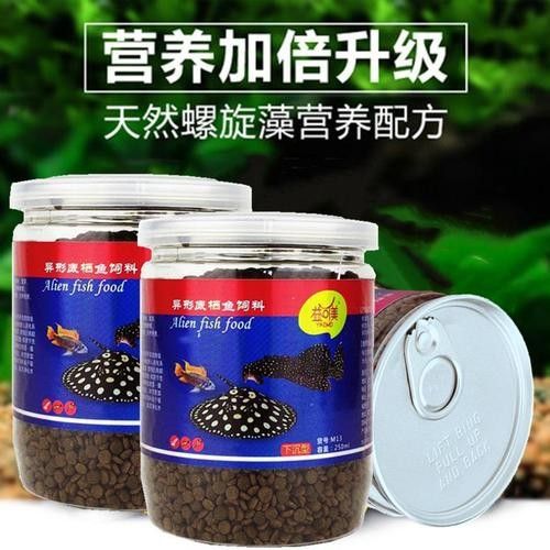 如何確保招財貓魚和龍魚有足夠的食物（招財貓魚吃什么食物最好）