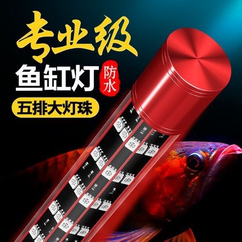 金龍魚專用燈有哪些推薦
