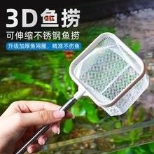 混養雷龍魚和異形魚需要哪些工具魚？
