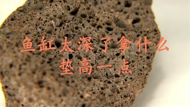 如何安全地調整龍魚缸的高度？