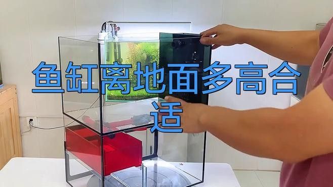 如何安全地調整龍魚缸的高度？