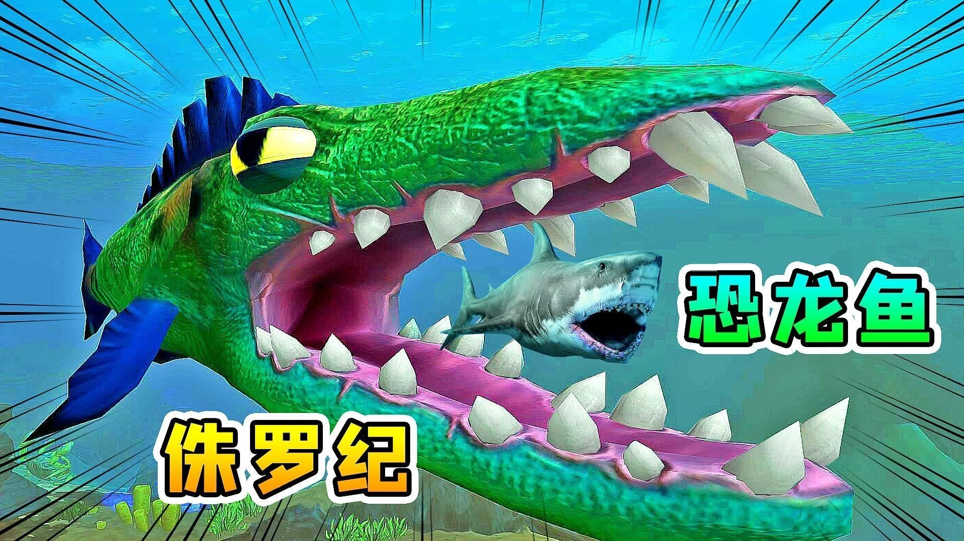 如何區分不同種類的恐龍魚？（如何區分不同種類的恐龍魚）