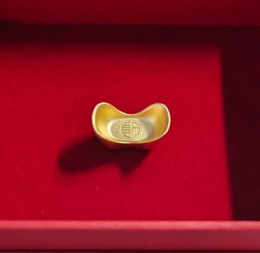 金龍魚和金元寶哪個更受歡迎 金龍魚和金元寶哪個更受歡迎 龍魚百科 第3張