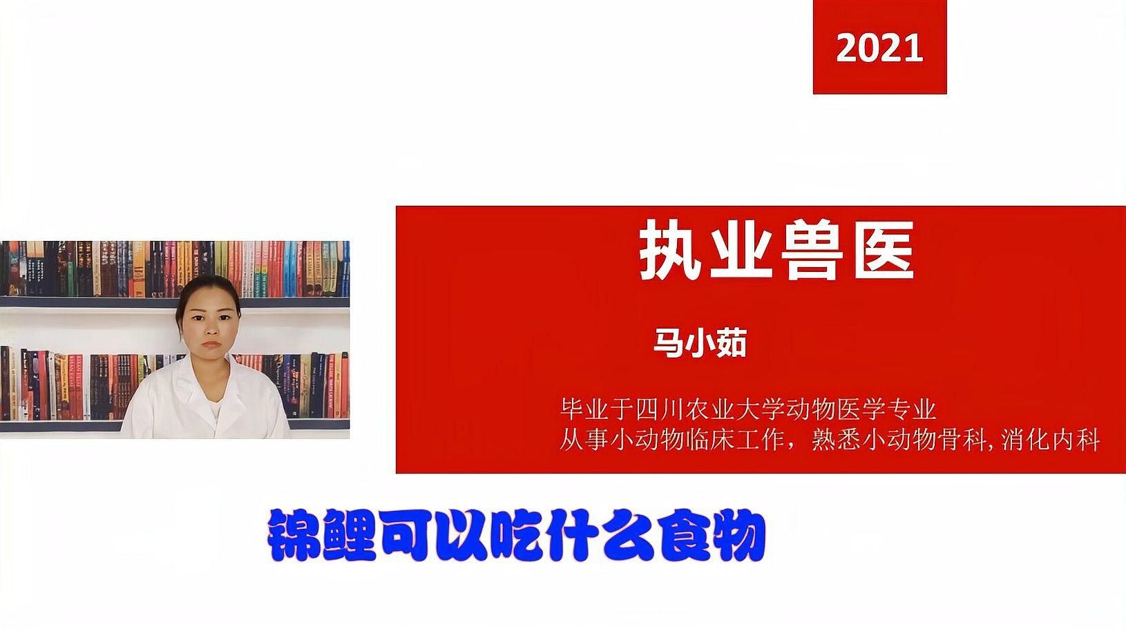 火龍魚和錦鯉的食物有哪些（火龍魚和錦鯉有什么區(qū)別？）