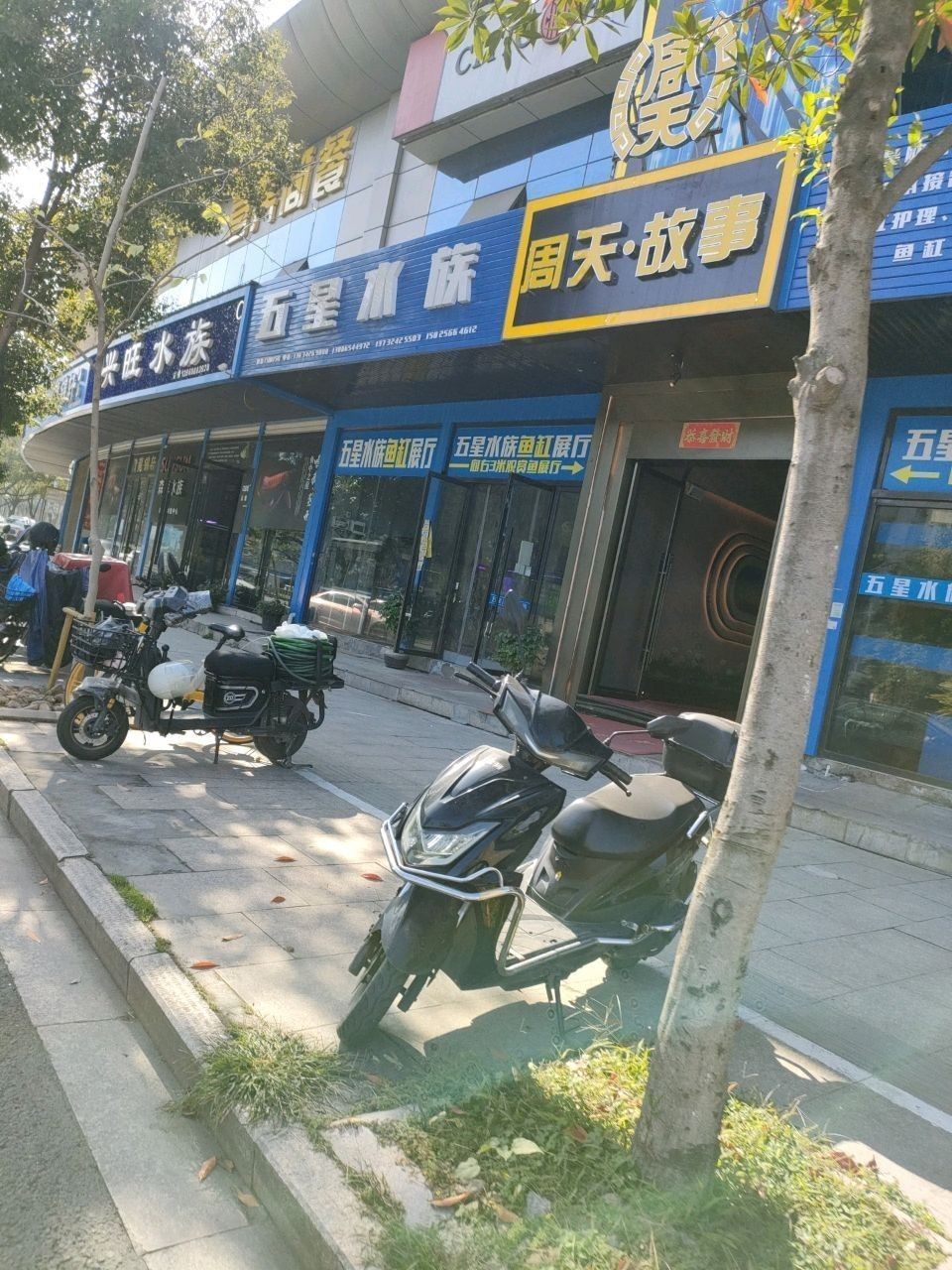 溫州哪個水族館龍魚好？祥龍魚場龍魚