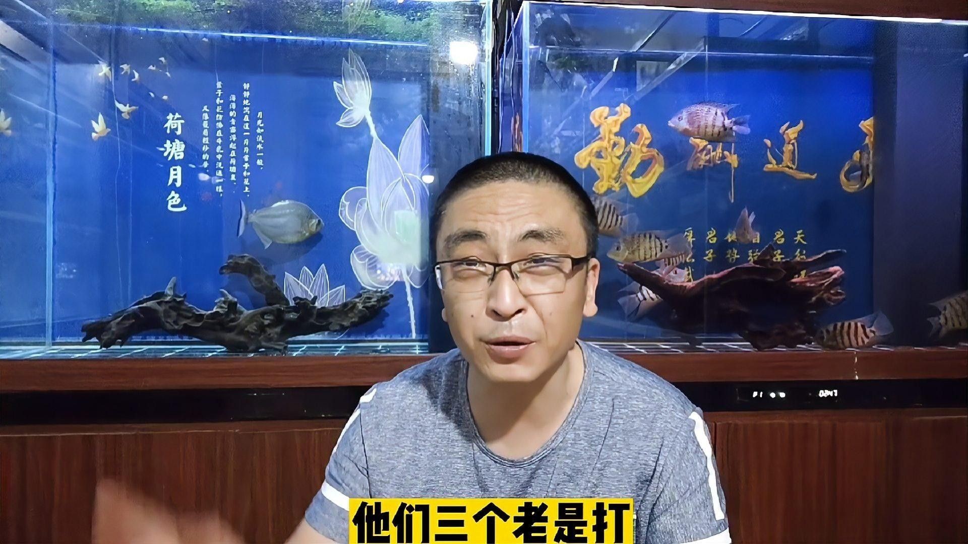 哪些沉木適合放在龍魚缸中？