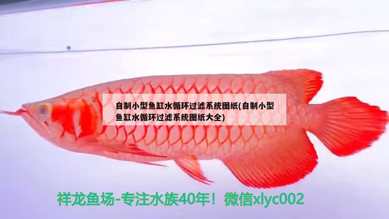 自制小型魚缸水循環過濾系統圖紙(自制小型魚缸水循環過濾系統圖紙大全)