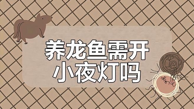 如何判斷金龍魚是否需要換燈（——龍魚燈光使用方法）