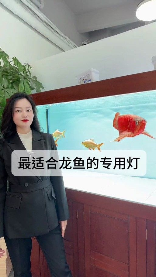 如何判斷金龍魚是否需要換燈（——龍魚燈光使用方法）