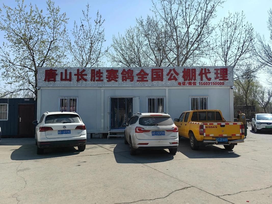 如何聯(lián)系潮州金龍魚鴿業(yè)（如何聯(lián)系潮州金龍魚鴿業(yè)？）