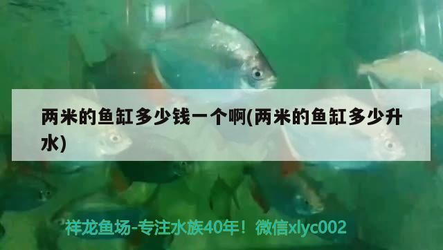 魚缸過濾器選購指南:自制魚缸過濾器魚缸上置過濾器對(duì)于養(yǎng)魚愛好者的必備知識(shí) 兩米的魚缸多少錢一個(gè)啊(兩米的魚缸多少升水) 觀賞魚百科 兩米的魚缸多少錢一個(gè)啊(兩米的魚缸多少升水) 兩米的魚缸多少錢一個(gè)啊(兩米的魚缸多少升水) 觀賞魚百科