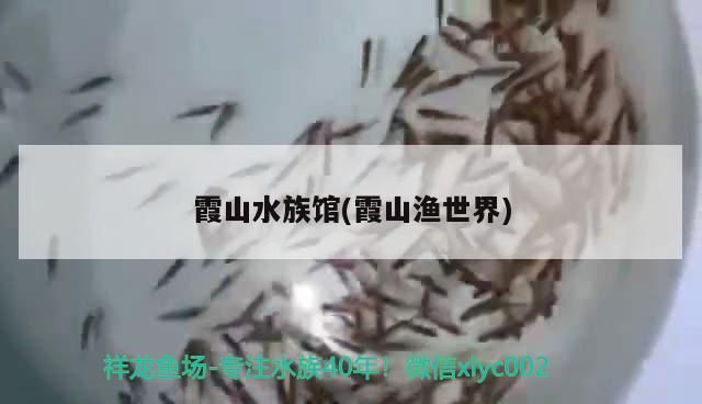<strong><mark>霞山</mark></strong>水族館(<strong><mark>霞山</mark></strong>漁世界)
