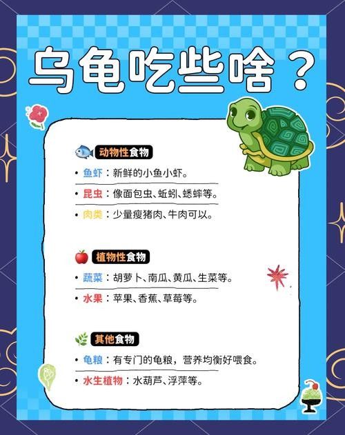 如何延長(zhǎng)烏龜?shù)膲勖ㄈ绾巫屇愕臑觚敻L(zhǎng)壽）