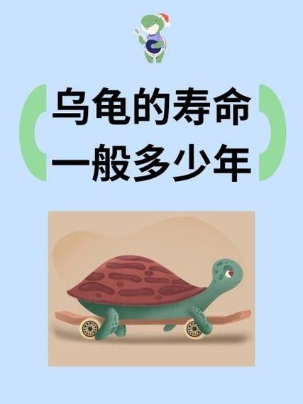 如何延長(zhǎng)烏龜?shù)膲勖ㄈ绾巫屇愕臑觚敻L(zhǎng)壽）