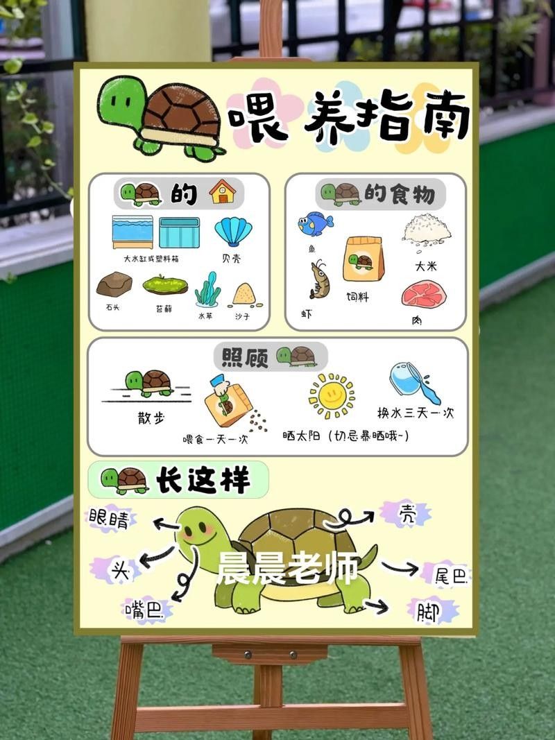 如何延長(zhǎng)烏龜?shù)膲勖ㄈ绾巫屇愕臑觚敻L(zhǎng)壽）