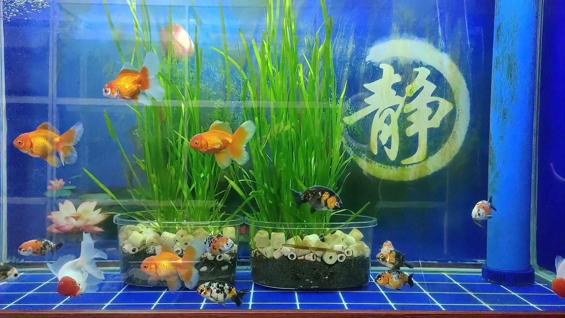如何正確清洗和更換濾材