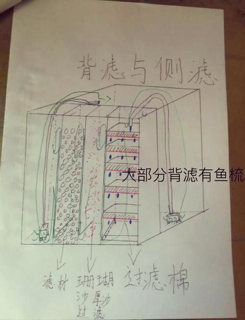 如何根據魚缸尺寸選擇合適的過濾器