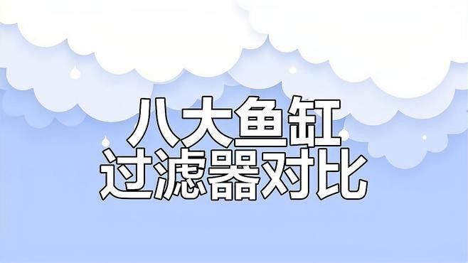 如何根據魚缸尺寸選擇合適的過濾器