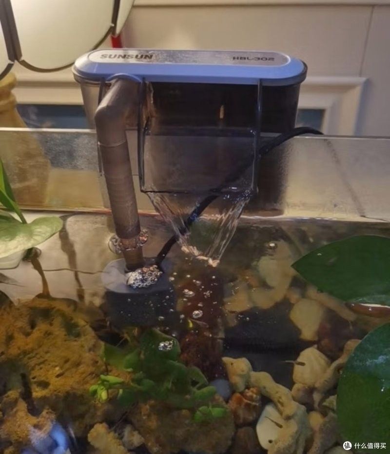 如何根據魚缸尺寸選擇合適的過濾器