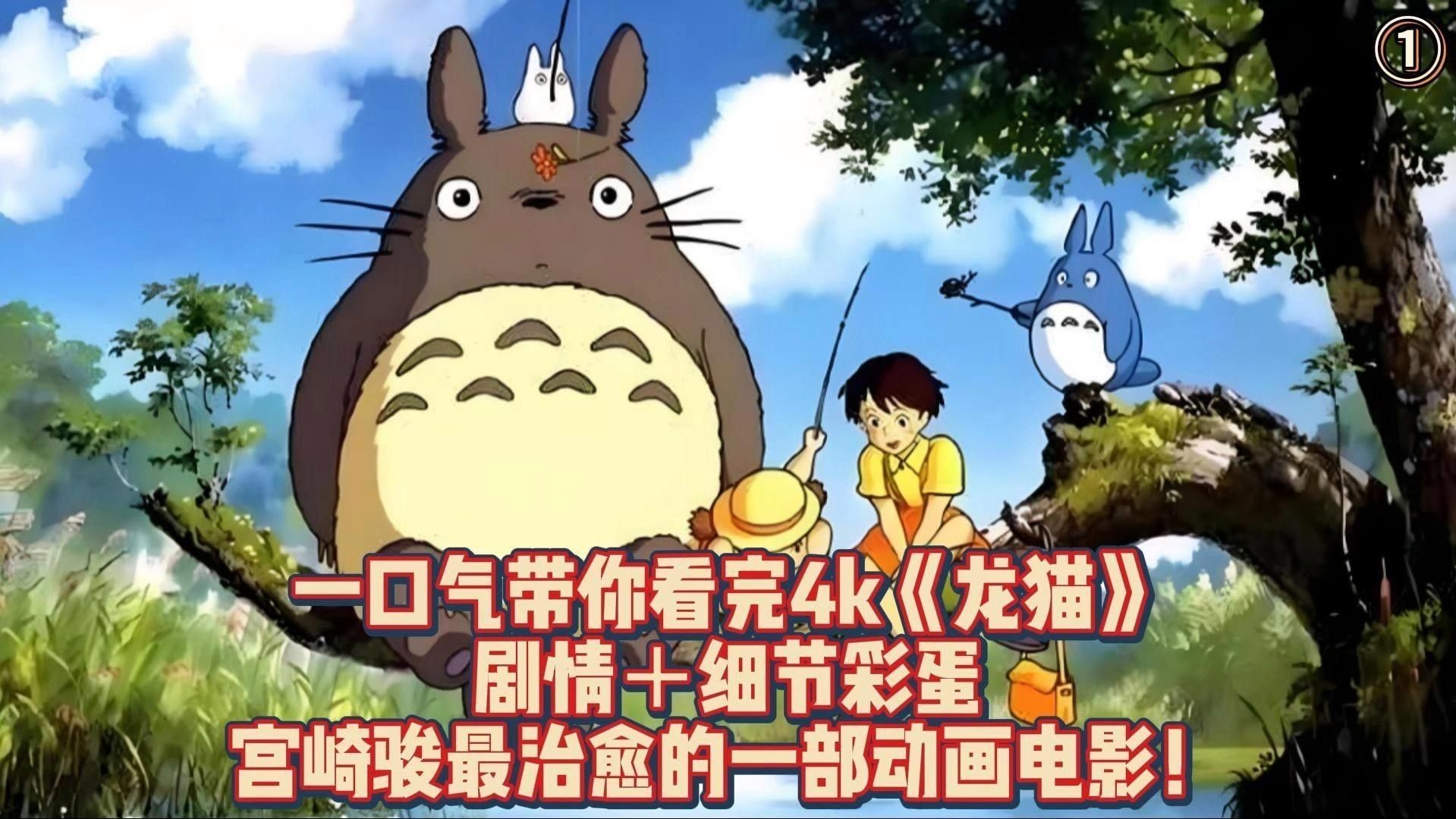 龍貓和貓打架時，誰更容易受傷（龍貓和貓打架時，誰更容易受傷，外國網友看中國貍花貓戰斗機有多強）