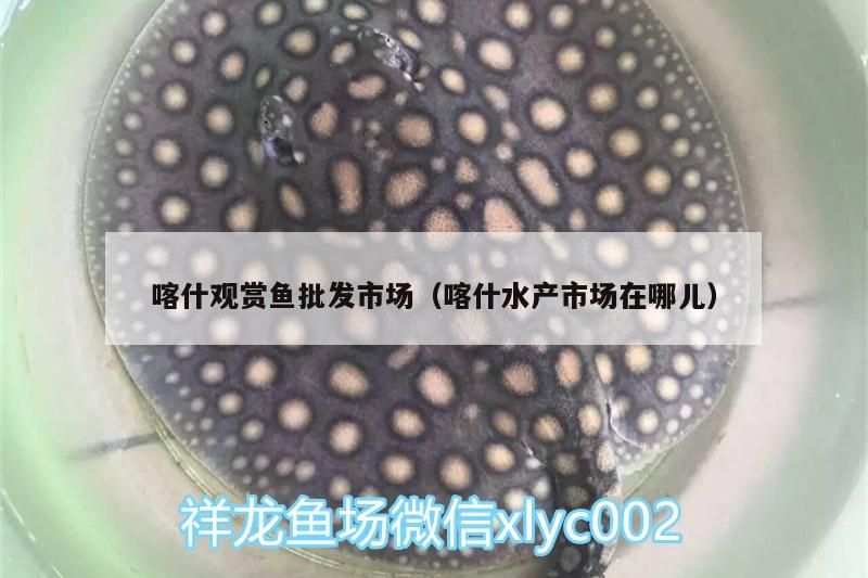 喀什觀賞魚批發市場（喀什水產市場在哪兒）（喀什觀賞魚批發市場）
