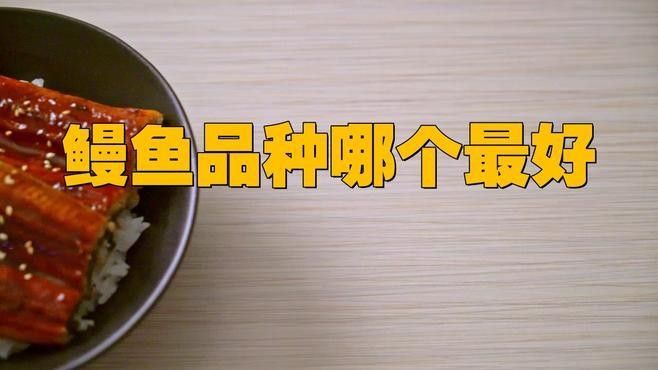 如何區分過山龍魚和其他鰻鱺（如何區分過山龍魚和寶迦海龍？） 如何區分過山龍魚和其他鰻鱺（如何區分過山龍魚和寶迦海龍？） 龍魚百科 第1張
