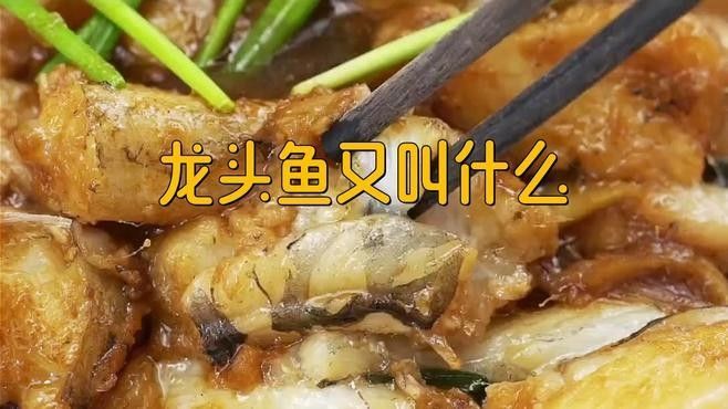 龍頭魚還有哪些別名（龍頭魚是什么魚？）