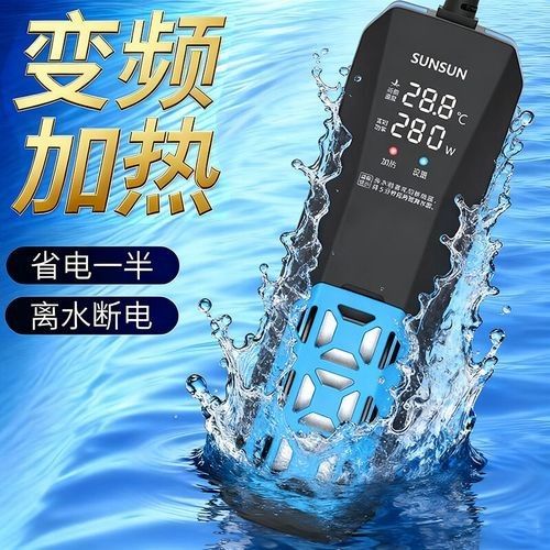 龍魚加熱棒應該放在什么位置（魚缸加熱棒的放置位置） 龍魚加熱棒應該放在什么位置（魚缸加熱棒的放置位置） 龍魚百科 第4張