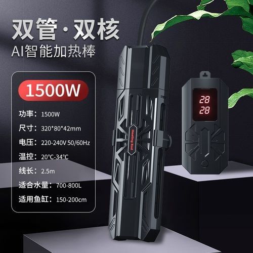 龍魚加熱棒應該放在什么位置（魚缸加熱棒的放置位置） 龍魚加熱棒應該放在什么位置（魚缸加熱棒的放置位置） 龍魚百科 第6張
