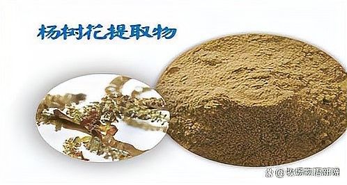 有哪些植物提取物可以預防龍魚疾??？（植物提取物對龍魚疾病的作用）