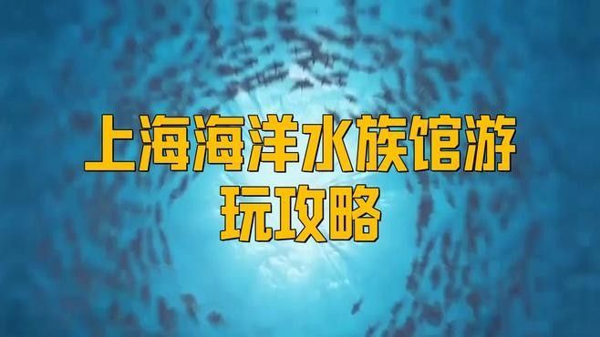 該水族館有哪些特色展區？（上海海洋水族館游玩攻略）