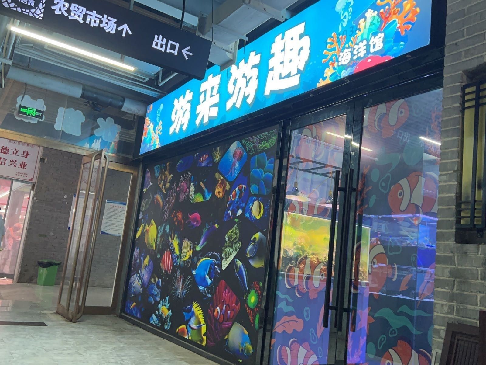 晉源哪個水族館龍魚好？祥龍魚場龍魚（太原祥龍魚場龍魚品種和專業的養殖技術和專業的養殖技術）