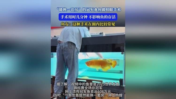 龍魚(yú)鰓蓋破損手術(shù)風(fēng)險(xiǎn)大嗎？（魚(yú)鰓蓋破損手術(shù)的風(fēng)險(xiǎn)分析） 龍魚(yú)鰓蓋破損手術(shù)風(fēng)險(xiǎn)大嗎？（魚(yú)鰓蓋破損手術(shù)的風(fēng)險(xiǎn)分析） 龍魚(yú)百科 第6張