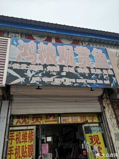北京龍魚批發市場在哪里？（北京哪里有龍魚批發市場）