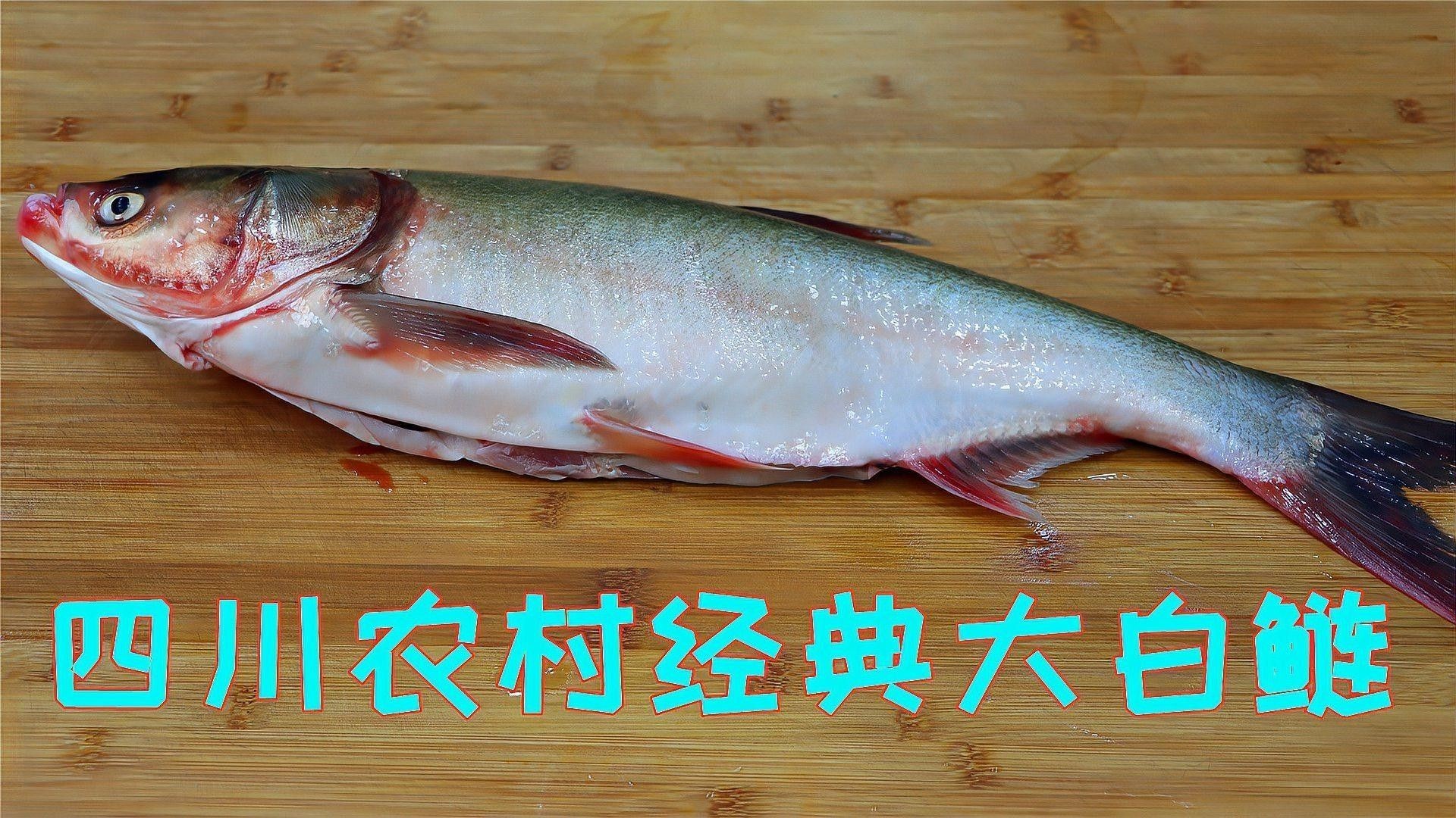 這些菜品中哪個最受歡迎？（探究最受歡迎的中國菜品及其特點：酸菜魚和宮保雞丁）