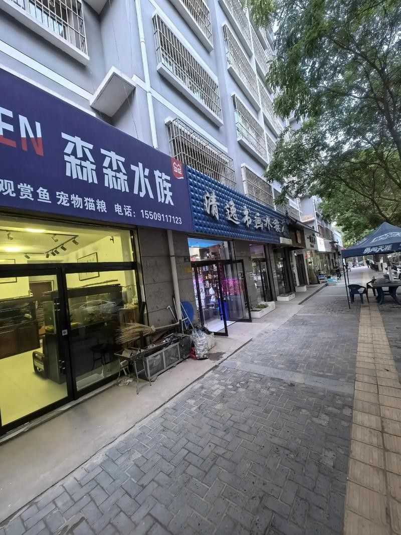 如何聯系騰龍魚缸的官方售后（如何聯系騰龍魚缸官方售后）