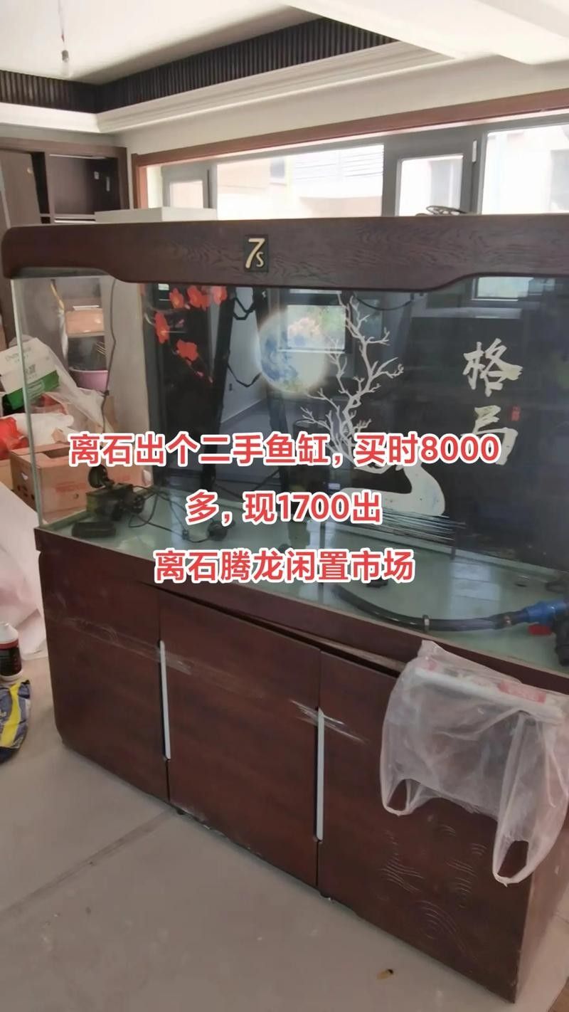 如何聯系騰龍魚缸的官方售后（如何聯系騰龍魚缸官方售后）