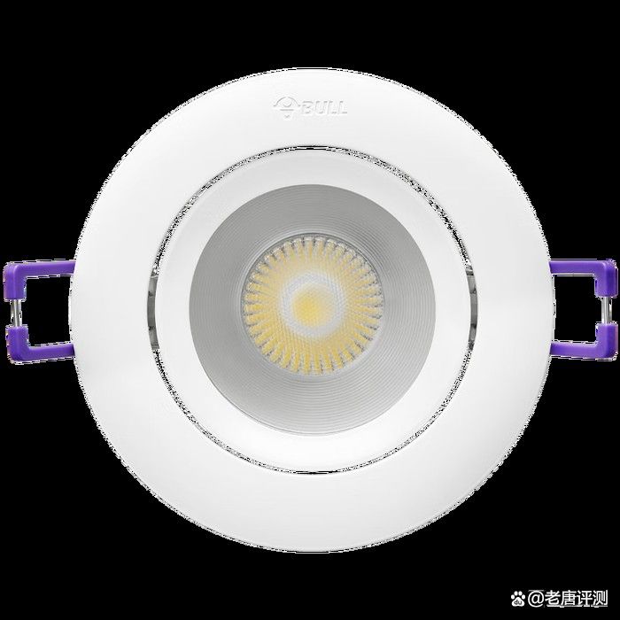 哪款燈具性價比最高（2025年8月高性價比吸頂燈選擇攻略） 哪款燈具性價比最高（2025年8月高性價比吸頂燈選擇攻略） 龍魚百科 第11張