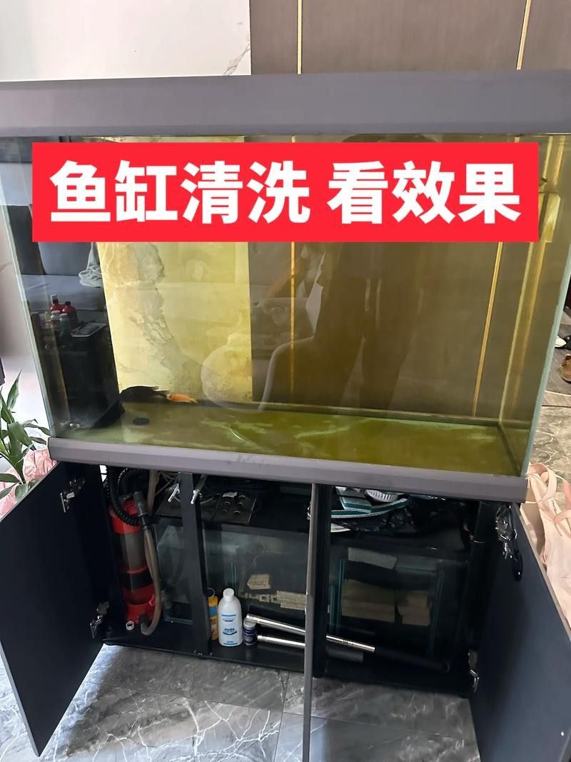 金龍魚濾材多久換一次？（金龍魚濾材多久換一次）